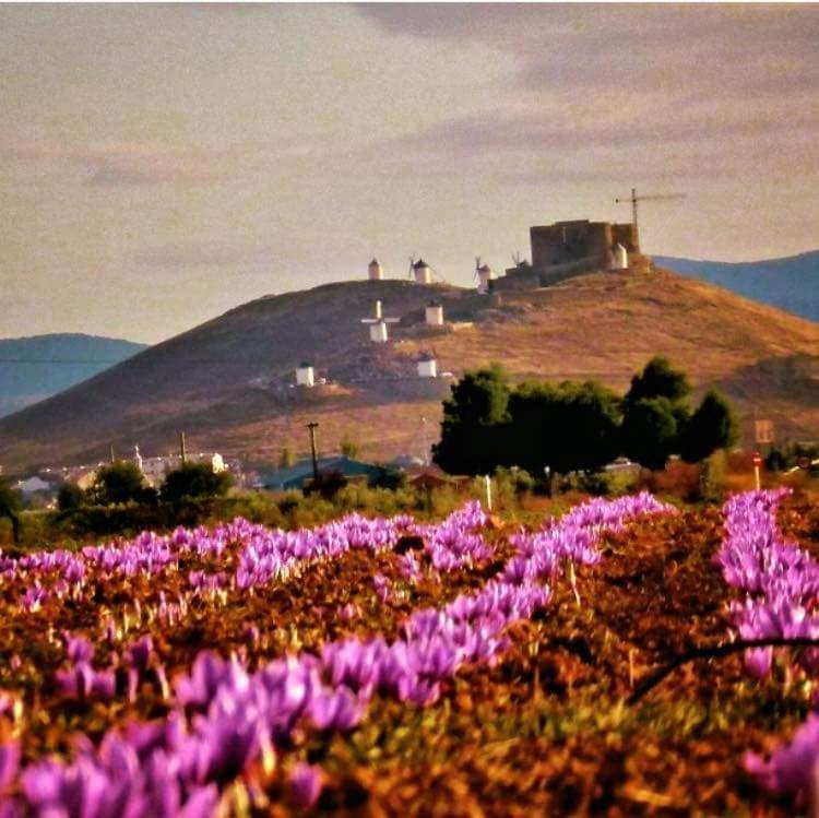 Posada De Los Consules Consuegra Bagian luar foto